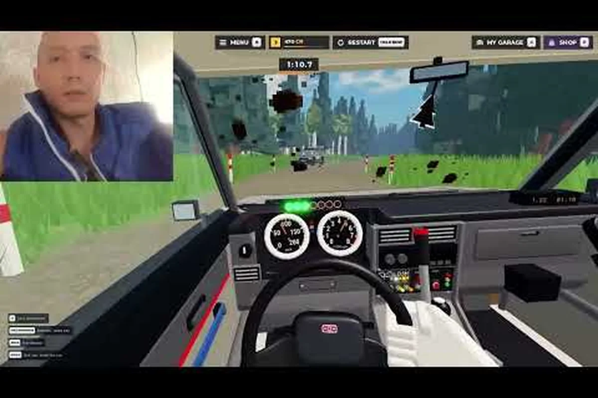 Backseat Rally Sensibilitäts-Guide: Ansagen, Audio und Setup